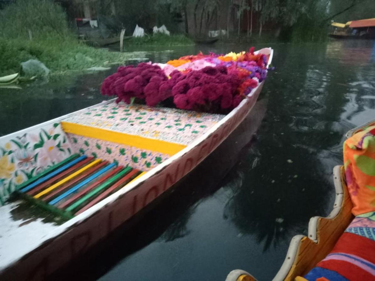 Hotel Umbrella group of House Boat à Srīnagar Extérieur photo